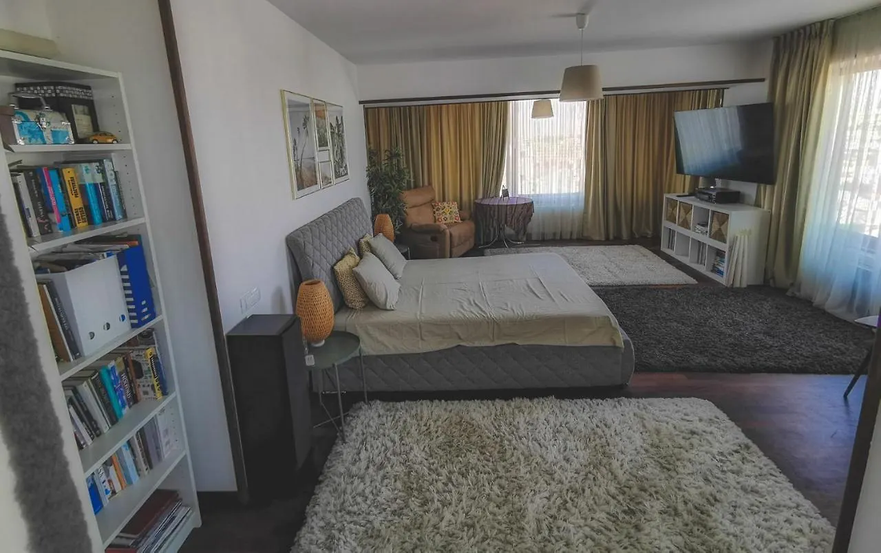 Downtown Penthouse With Fantastic Views Apartment Bucharest