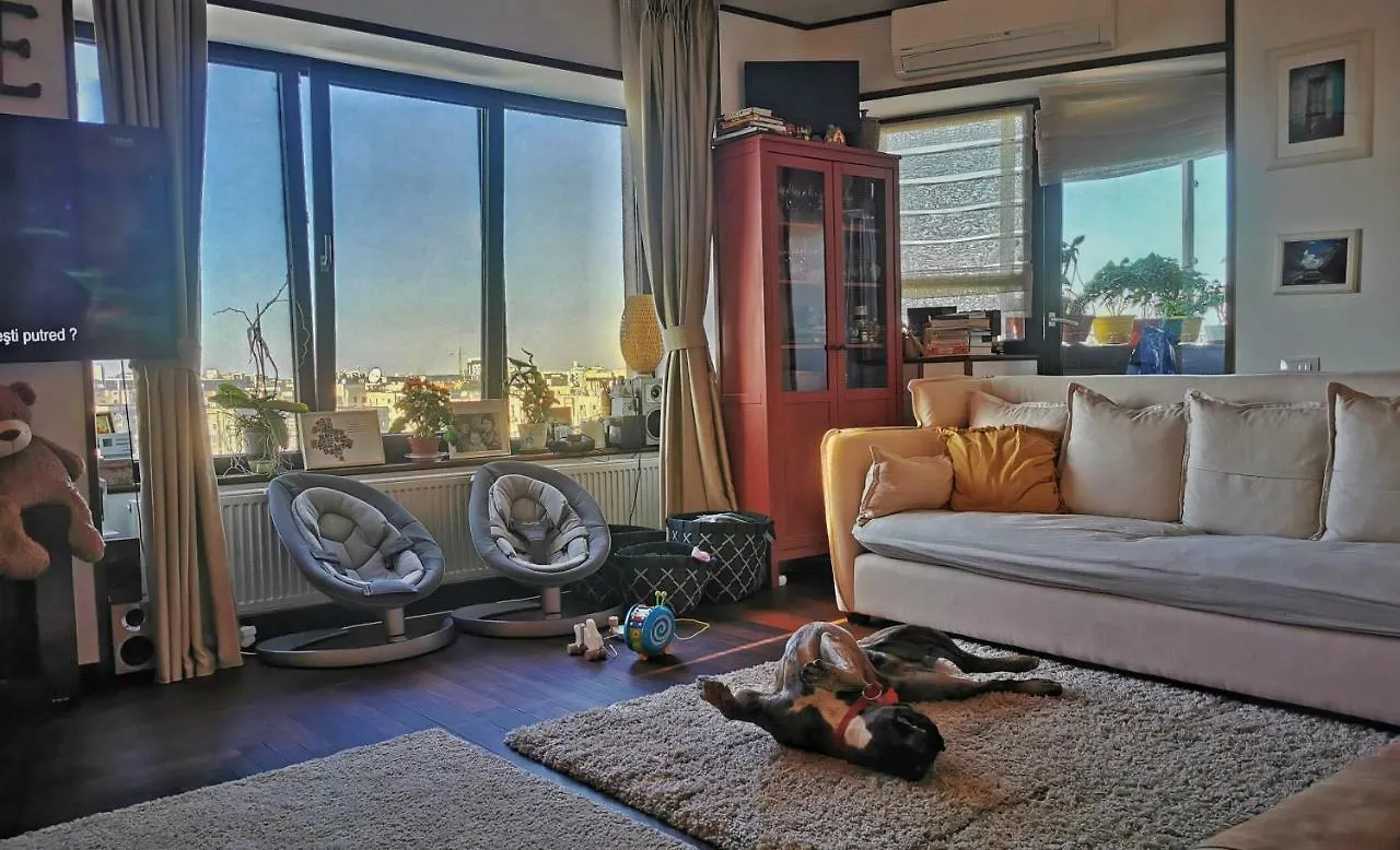 Downtown Penthouse With Fantastic Views Apartment Bucharest Romania